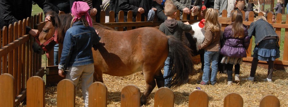 Enfants et poneys