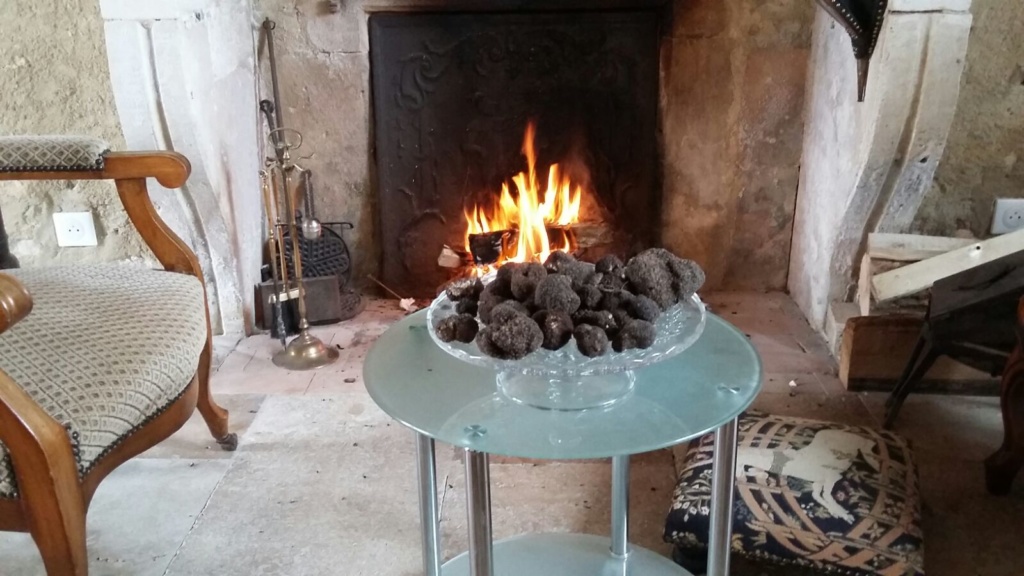 Les truffes